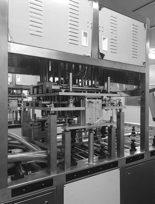 黑皮雞樅菌工廠化生產(chǎn)關鍵技術解析