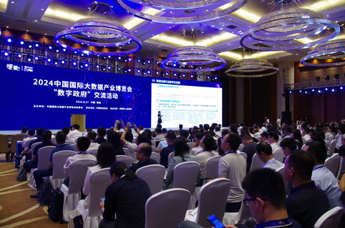 安順軟件和信息技術(shù)服務(wù)業(yè)收入增速101 名列貴州全省第一